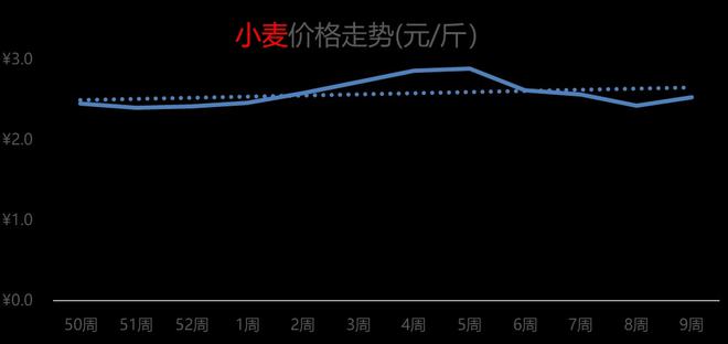 今日小麦市场价格动态分析