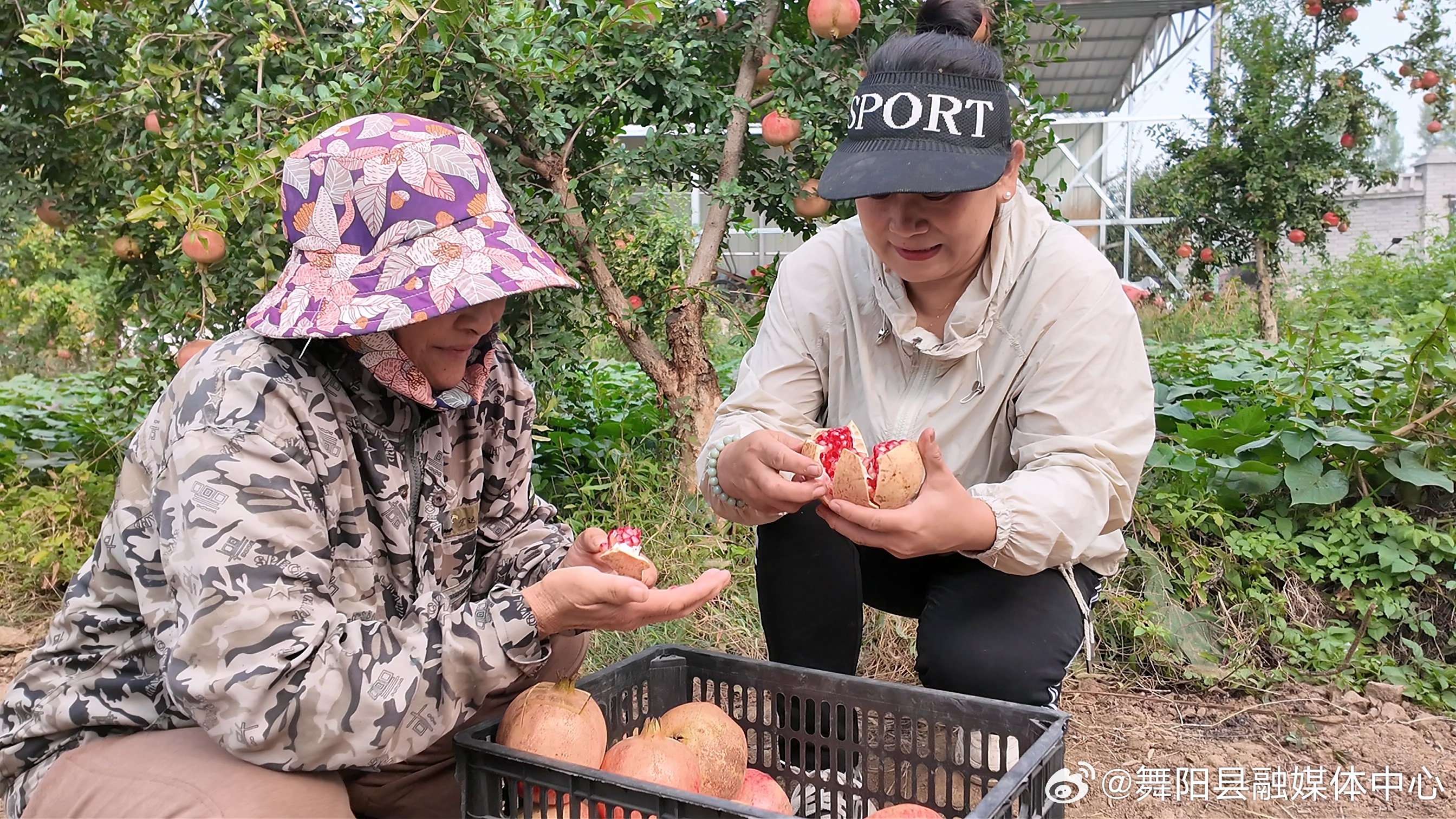 探寻上榴人士最新集结点，神秘链接揭晓！